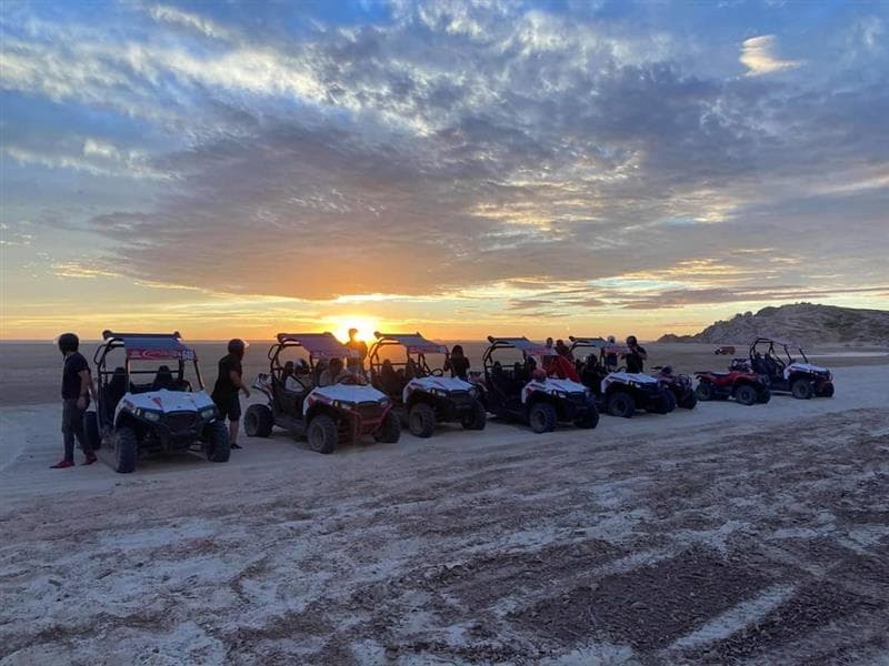 ourServices.service3.alt