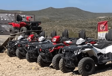 activity.data.atvs.name